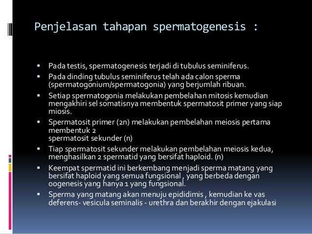 Biologi Ppt Nds Reproduksi2