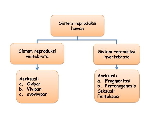 Biologi reproduksi  smansa15