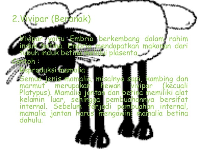Biologi reproduksi smansa15
