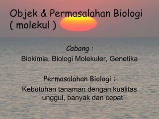 Objek & Permasalahan Biologi
( molekul )
Cabang :
Biokimia, Biologi Molekuler, Genetika
Permasalahan Biologi :
Kebutuhan tanaman dengan kualitas
unggul, banyak dan cepat
 