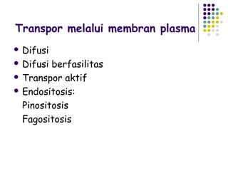 Transpor melalui membran plasma
 Difusi

 Difusi berfasilitas
 Transpor aktif

 Endositosis:

  Pinositosis
  Fagositosis
 