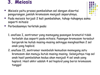 3. Meiosis
   Meiosis yaitu proses pembelahan sel dengan disertai
    pengurangan jumlah kromosom menjadi separuhnya.
   Pada meiosis terjadi 2 kali pembelahan, tahap-tahapnya sama
    seperti mitosis
   Perbedaannya terletak pada:

    1. anafase I, sentromer yang memegang pasangan kromatid tidak
        terbelah dua seperti pada mitosis. Pasangan kromosom tersebut
        bergerak ke kutub masing-masing sehingga menghasilkan 2 sel
        anak yang haploid.
    2. anafase II, sentromer membelah kemudian memegang satu
       kromosom dan menuju kutub masing-masing. Selanjutnya tiap sel
       anak hasil pembelahan kedua akan menjadi 4 sel anak yang
       haploid. Hasil akhir adalah 4 sel haploid yang berisi kromosom
       tunggal
 