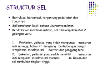STRUKTUR SEL
   Bentuk sel bervariasi, tergantung pada letak dan
    fungsinya
   Sel berukuran kecil, satuan ukurannya mikron.
   Berdasarkan membran intinya, sel dikelompokan atas 2
    golongan yaitu:


    1.    Prokarion, yaitu sel yang tidak mempunyai membran
    inti sehingga bahan inti langsung berhubungan dengan
    sitoplasma, misalnya sel     bakteri dan ganggang biru.
    2. Eukarion, yaitu sel yang sudah memiliki     membran
    inti sempurna, misalnya sel manusia,    sel hewan dan
    sel tumbuhan tingkat tinggi.
 