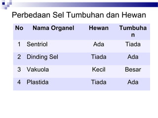 Perbedaan Sel Tumbuhan dan Hewan
No Nama Organel Hewan Tumbuha
n
1 Sentriol Ada Tiada
2 Dinding Sel Tiada Ada
3 Vakuola Kecil Besar
4 Plastida Tiada Ada
 