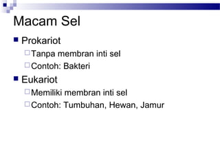 Macam Sel
 Prokariot
Tanpa membran inti sel
Contoh: Bakteri
 Eukariot
Memiliki membran inti sel
Contoh: Tumbuhan, Hewan, Jamur
 