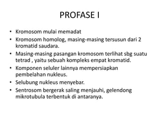 PROFASE I
• Kromosom mulai memadat
• Kromosom homolog, masing-masing tersusun dari 2
kromatid saudara.
• Masing-masing pasangan kromosom terlihat sbg suatu
tetrad , yaitu sebuah kompleks empat kromatid.
• Komponen seluler lainnya mempersiapkan
pembelahan nukleus.
• Selubung nukleus menyebar.
• Sentrosom bergerak saling menjauhi, gelendong
mikrotubula terbentuk di antaranya.
 