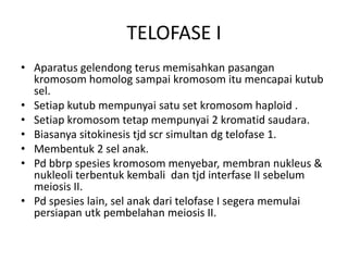 TELOFASE I
• Aparatus gelendong terus memisahkan pasangan
kromosom homolog sampai kromosom itu mencapai kutub
sel.
• Setiap kutub mempunyai satu set kromosom haploid .
• Setiap kromosom tetap mempunyai 2 kromatid saudara.
• Biasanya sitokinesis tjd scr simultan dg telofase 1.
• Membentuk 2 sel anak.
• Pd bbrp spesies kromosom menyebar, membran nukleus &
nukleoli terbentuk kembali dan tjd interfase II sebelum
meiosis II.
• Pd spesies lain, sel anak dari telofase I segera memulai
persiapan utk pembelahan meiosis II.
 