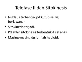Telofase II dan Sitokinesis
• Nukleus terbentuk pd kutub sel yg
berlawanan.
• Sitokinesis terjadi.
• Pd akhir sitokinesis terbentuk 4 sel anak
• Masing-masing dg jumlah haploid.
 