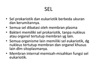 SEL
• Sel prokariotik dan eukariotik berbeda ukuran
dan kerumitannya.
• Semua sel dibatasi oleh membran plasma
• Bakteri memiliki sel prokariotik, tanpa nukleus
atau organel tertutup membran yg lain.
• Semua organisme lain memiliki sel eukariotik, dg
nukleus tertutup membran dan organel khusus
lain dlm sitoplasmanya.
• Membran internal memisah-misahkan fungsi sel
eukariotik.
 