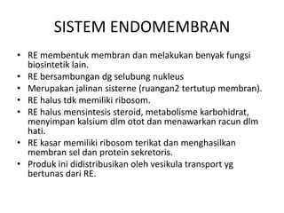 SISTEM ENDOMEMBRAN
• RE membentuk membran dan melakukan benyak fungsi
biosintetik lain.
• RE bersambungan dg selubung nukleus
• Merupakan jalinan sisterne (ruangan2 tertutup membran).
• RE halus tdk memiliki ribosom.
• RE halus mensintesis steroid, metabolisme karbohidrat,
menyimpan kalsium dlm otot dan menawarkan racun dlm
hati.
• RE kasar memiliki ribosom terikat dan menghasilkan
membran sel dan protein sekretoris.
• Produk ini didistribusikan oleh vesikula transport yg
bertunas dari RE.
 
