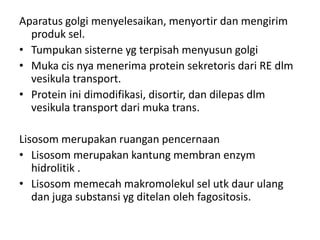 Aparatus golgi menyelesaikan, menyortir dan mengirim
produk sel.
• Tumpukan sisterne yg terpisah menyusun golgi
• Muka cis nya menerima protein sekretoris dari RE dlm
vesikula transport.
• Protein ini dimodifikasi, disortir, dan dilepas dlm
vesikula transport dari muka trans.
Lisosom merupakan ruangan pencernaan
• Lisosom merupakan kantung membran enzym
hidrolitik .
• Lisosom memecah makromolekul sel utk daur ulang
dan juga substansi yg ditelan oleh fagositosis.
 