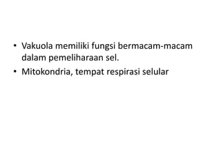 • Vakuola memiliki fungsi bermacam-macam
dalam pemeliharaan sel.
• Mitokondria, tempat respirasi selular
 
