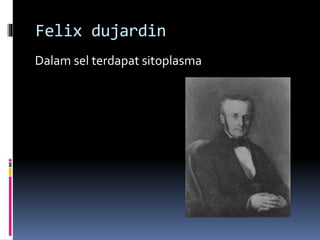 Felix dujardin 
Dalamsel terdapat sitoplasma 
 