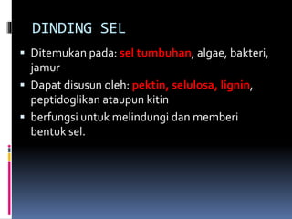 DINDING SEL 
 Ditemukan pada: sel tumbuhan, algae, bakteri, 
jamur 
 Dapat disusun oleh: pektin, selulosa, lignin, 
peptidoglikan ataupun kitin 
 berfungsi untuk melindungi dan memberi 
bentuk sel. 
 