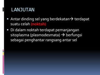 LANJUTAN 
 Antar dinding sel yang berdekatan terdapat 
suatu celah (noktah) 
 Di dalam noktah terdapat pemanjangan 
sitoplasma (plasmodesmata)  berfungsi 
sebagai penghantar rangsang antar sel 
 