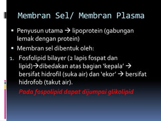 Membran Sel/ Membran Plasma 
 Penyusun utama  lipoprotein (gabungan 
lemak dengan protein) 
 Membran sel dibentuk oleh: 
1. Fosfolipid bilayer (2 lapis fospat dan 
lipid)dibedakan atas bagian ‘kepala’  
bersifat hidrofil (suka air) dan ‘ekor’  bersifat 
hidrofob (takut air). 
Pada fospolipid dapat dijumpai glikolipid 
 
