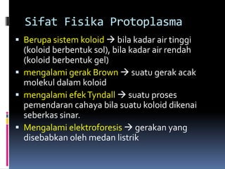 Sifat Fisika Protoplasma 
 Berupa sistem koloid  bila kadar air tinggi 
(koloid berbentuk sol), bila kadar air rendah 
(koloid berbentuk gel) 
 mengalami gerak Brown  suatu gerak acak 
molekul dalam koloid 
 mengalami efekTyndall  suatu proses 
pemendaran cahaya bila suatu koloid dikenai 
seberkas sinar. 
 Mengalami elektroforesis  gerakan yang 
disebabkan oleh medan listrik 
 