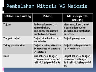Pembelahan Mitosis VS Meiosis 
Faktor Pembanding Mitosis Meiosis (pemb. 
reduksi) 
Tujuan Perbanyakan sel dan 
pertumbuhan, 
pembentukan gamet 
tumbuhan berspora 
Membentuk sel gamet 
(sperma dan ovum), 
kecuali pada tumbuhan 
berspora 
Tempat terjadi Terjadi di sel-sel somatis 
(sel tubuh) 
Terjadi pada gonad 
Tahap pembelahan Terjadi 1 tahap : Profase 
 metafase  anafase 
 telofase 
Terjadi 2 tahap (meiosis 
I dan meiosis II) 
Hasil Dua sel anak dengan 
kromosom sama seperti 
sel induk (diploid 46) 
Empat sel anak dengan 
kromosom setengah 
dari sel induk (haploid 
23) 
 