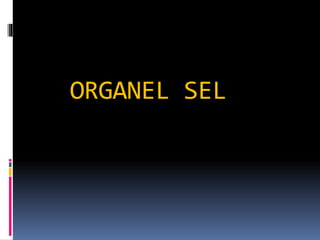 ORGANEL SEL 
 