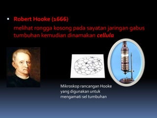  Robert Hooke (1666) 
melihat rongga kosong pada sayatan jaringan gabus 
tumbuhan kemudian dinamakan cellula 
Mikroskop rancangan Hooke 
yang digunakan untuk 
mengamati sel tumbuhan 
 