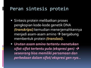 Peran sintesis protein 
 Sintesis protein melibatkan proses 
pengkopian kode-kode genetik DNA 
(transkripsi) kemudian menerjemahkannya 
menjadi asam-asam amino  bergabung 
membentuk protein (translasi). 
 Urutan asam amino tertentu menetukan 
sifat-sifat tertentu pula (ekspresi gen)  
seseorang bisa memiliki persamaan dan 
perbedaan dalam sifat/ ekspresi gen nya.. 
 