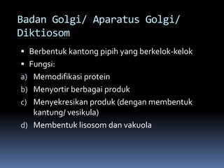 Badan Golgi/ Aparatus Golgi/ 
Diktiosom 
 Berbentuk kantong pipih yang berkelok-kelok 
 Fungsi: 
a) Memodifikasi protein 
b) Menyortir berbagai produk 
c) Menyekresikan produk (dengan membentuk 
kantung/ vesikula) 
d) Membentuk lisosom dan vakuola 
 