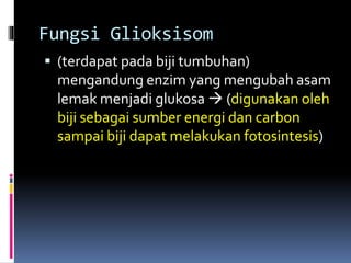 Fungsi Glioksisom 
 (terdapat pada biji tumbuhan) 
mengandung enzim yang mengubah asam 
lemak menjadi glukosa  (digunakan oleh 
biji sebagai sumber energi dan carbon 
sampai biji dapat melakukan fotosintesis) 
 