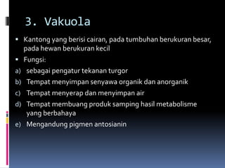 3. Vakuola 
 Kantong yang berisi cairan, pada tumbuhan berukuran besar, 
pada hewan berukuran kecil 
 Fungsi: 
a) sebagai pengatur tekanan turgor 
b) Tempat menyimpan senyawa organik dan anorganik 
c) Tempat menyerap dan menyimpan air 
d) Tempat membuang produk samping hasil metabolisme 
yang berbahaya 
e) Mengandung pigmen antosianin 
 