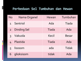 Perbedaan Sel Tumbuhan dan Hewan 
No Nama Organel Hewan Tumbuhan 
1 Sentriol Ada Tiada 
2 Dinding Sel Tiada Ada 
3 Vakuola Kecil Besar 
4 Plastida Tiada Ada 
5 lisosom ada Tidak 
6 glioksisom tidak Ada 
 