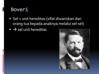 Boveri 
 Sel = unit hereditas (sifat diwariskan dari 
orang tua kepada anaknya melalui sel-sel) 
  sel unit hereditas 
 