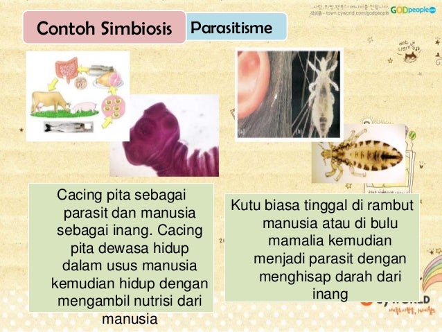 Interaksi Organisme_simbiosis