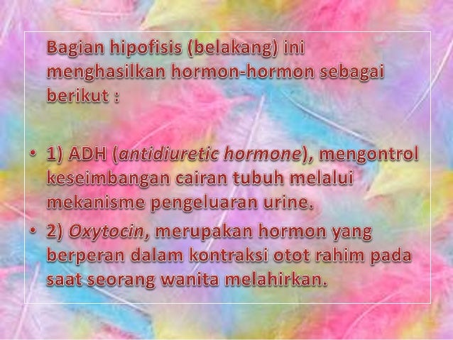 Perbedaan Diabetes Melitus Dan Diabetes Insipidus Uraian Perbedaan Diabetes Melitus Dan Diabetes Insipidus Uraian