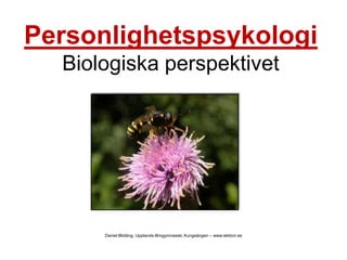 PersonlighetspsykologiBiologiska perspektivet Daniel Blidäng, Upplands-Brogymnasiet, Kungsängen – www.lektion.se 