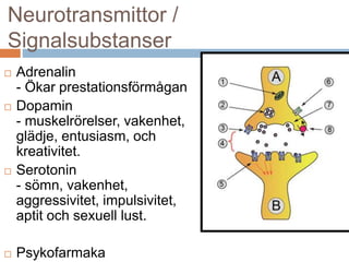 Neurotransmittor / 
Signalsubstanser 
 Adrenalin 
- Ökar prestationsförmågan 
 Dopamin 
- muskelrörelser, vakenhet, 
glädje, entusiasm, och 
kreativitet. 
 Serotonin 
- sömn, vakenhet, 
aggressivitet, impulsivitet, 
aptit och sexuell lust. 
 Psykofarmaka 
 
