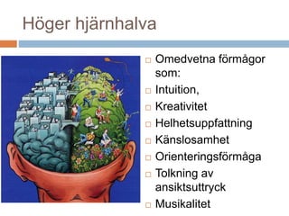 Höger hjärnhalva 
 Omedvetna förmågor 
som: 
 Intuition, 
 Kreativitet 
 Helhetsuppfattning 
 Känslosamhet 
 Orienteringsförmåga 
 Tolkning av 
ansiktsuttryck 
 Musikalitet 
Formkänsla 
 