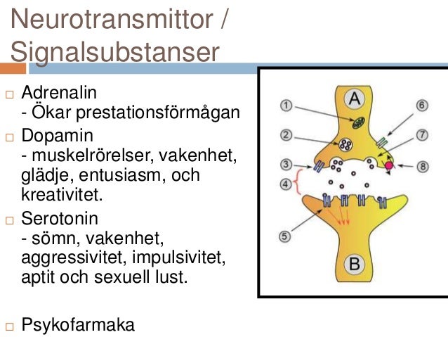vad är signalsubstanser