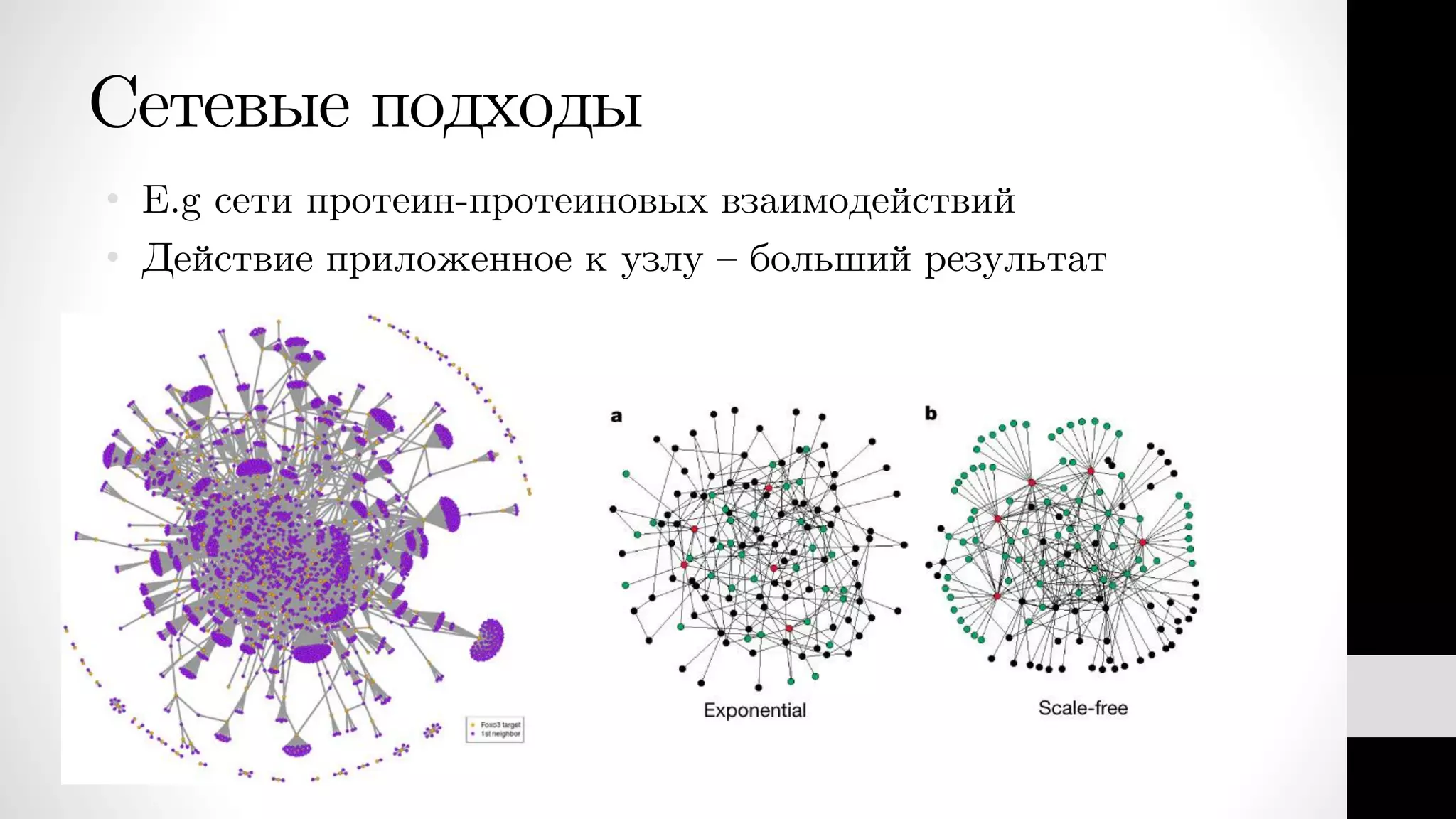 Сетевые подходы
• E.g сети протеин-протеиновых взаимодействий
• Действие приложенное к узлу – больший результат
 