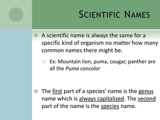 Scientific NamesA scientific name is always the same for a specific kind of organism no matter how many common names there might be.Ex: Mountain lion, puma, cougar, panther are all the Puma concolorThe first part of a species' name is the genus name which is always capitalized. The second part of the name is the species name.