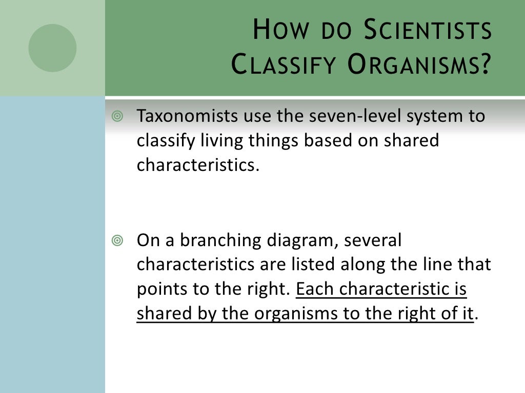 Biologists Use Seven Levels Of Classification