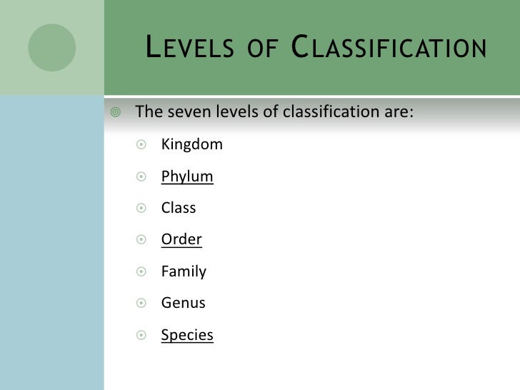What are the seven different classification groups in order?