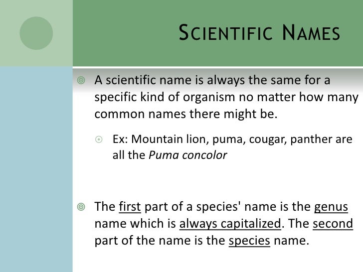 Biologists Use Seven Levels Of Classification
