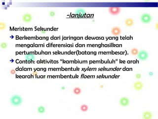 -lanjutan
Meristem Sekunder
 Berkembang dari jaringan dewasa yang telah
mengalami diferensiasi dan menghasilkan
pertumbuhan sekunder(batang membesar).
 Contoh: aktivitas “kambium pembuluh” ke arah
dalam yang membentuk xylem sekunder dan
kearah luar membentuk floem sekunder
 