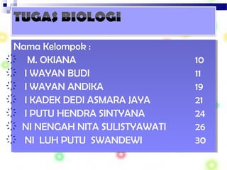 Nama Kelompok :
҉ M. OKIANA 10
҉ I WAYAN BUDI 11
҉ I WAYAN ANDIKA 19
҉ I KADEK DEDI ASMARA JAYA 21
҉ I PUTU HENDRA SINTYANA 24
҉ NI NENGAH NITA SULISTYAWATI 26
҉ NI LUH PUTU SWANDEWI 30
Nama Kelompok :
҉ M. OKIANA 10
҉ I WAYAN BUDI 11
҉ I WAYAN ANDIKA 19
҉ I KADEK DEDI ASMARA JAYA 21
҉ I PUTU HENDRA SINTYANA 24
҉ NI NENGAH NITA SULISTYAWATI 26
҉ NI LUH PUTU SWANDEWI 30
 