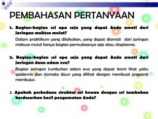 PEMBAHASAN PERTANYAAN
1. Bagian-bagian sel apa saja yang dapat Anda amati dari
jaringan mukosa mulut?
Dalam praktikum yang dilakukan, yang dapat diamati dari jaringan
mokusa mulut hanya bagian permukaanya saja atau sitoplasma.
2. Bagian-bagian sel apa saja yang dapat Anda amati dari
jaringan daun adam eva?
Bagian jaringan tumbuhan adam eva yang dapat kami lihat yaitu
epidermis dan stomata daun yang dilihat dengan membuat preparat
membujur.
3. Apakah perbedaan struktur sel hewan dengan sel tumbuhan
berdasarkan hasil pengamatan Anda?
 