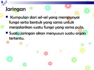 Jaringan
 Kumpulan dari sel-sel yang mempunyai
fungsi serta bentuk yang sama untuk
menjalankan suatu fungsi yang sama pula.
 Suatu jaringan akan menyusun suatu organ
tertentu.
 