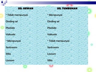 SEL HEWAN SEL TUMBUHAN
* Tidak mempunyai * Mempunyai
Dinding sel Dinding sel
Plastida Plastida
Vakuola Vakuola
* Mempunyai * Tidak mempunyai
Sentrosom Sentrosom
Sillia Lisosom
Lisosom Sillia
 