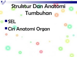 Struktur Dan Anatomi
Tumbuhan
SEL
Ciri Anatomi Organ
 