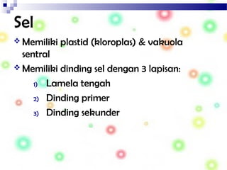 Sel
 Memiliki plastid (kloroplas) & vakuola
sentral
 Memiliki dinding sel dengan 3 lapisan:
1) Lamela tengah
2) Dinding primer
3) Dinding sekunder
 