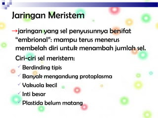Jaringan Meristem
→jaringan yang sel penyusunnya bersifat
“embrional”: mampu terus menerus
membelah diri untuk menambah jumlah sel.
Ciri-ciri sel meristem:
 Berdinding tipis
 Banyak mengandung protoplasma
 Vakuola kecil
 Inti besar
 Plastida belum matang
 