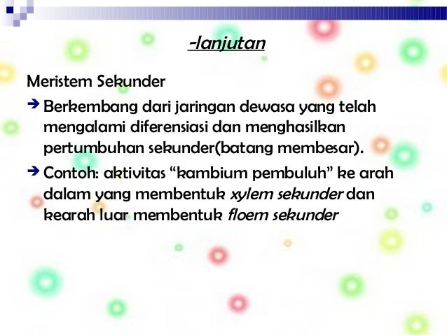 Biologi ppt JARINGAN TUMBUHAN